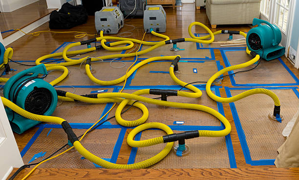 Professional Crawl Space Water Removal technician working in Elburn, IL